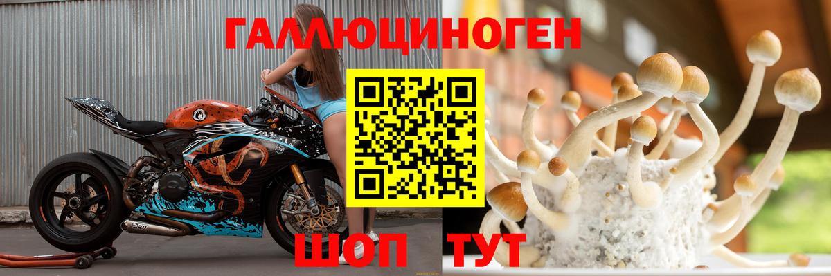 Псилоцибиновые грибы прущие грибы  Вход с VPN  Когалым  где найти наркотики  Псилоцибиновые грибы MAGIC MUSHROOMS 